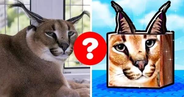 Feed Your Pets And Know If You Can Successfully Raise A Floppa In Roblox!